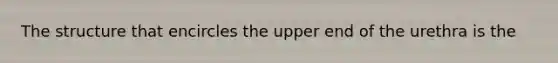 The structure that encircles the upper end of the urethra is the