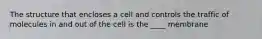 The structure that encloses a cell and controls the traffic of molecules in and out of the cell is the ____ membrane