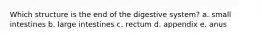 Which structure is the end of the digestive system?​ a. ​small intestines b. ​large intestines c. ​rectum d. ​appendix e. ​anus