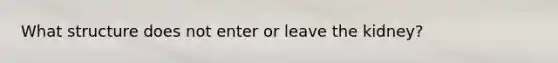 What structure does not enter or leave the kidney?