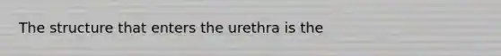 The structure that enters the urethra is the