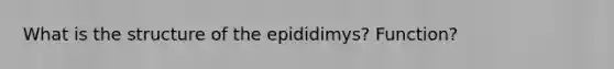 What is the structure of the epididimys? Function?