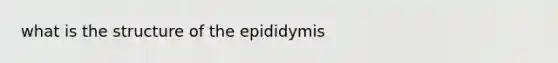 what is the structure of the epididymis