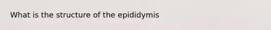 What is the structure of the epididymis