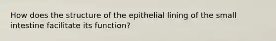 How does the structure of the epithelial lining of the small intestine facilitate its function?