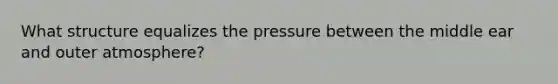 What structure equalizes the pressure between the middle ear and outer atmosphere?