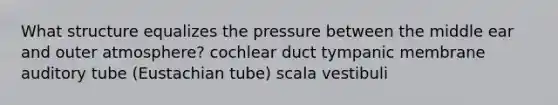 What structure equalizes the pressure between the middle ear and outer atmosphere? cochlear duct tympanic membrane auditory tube (Eustachian tube) scala vestibuli