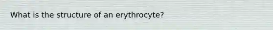 What is the structure of an erythrocyte?