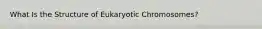 What Is the Structure of Eukaryotic Chromosomes?