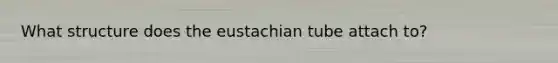 What structure does the eustachian tube attach to?