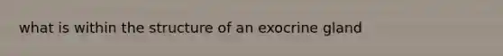 what is within the structure of an exocrine gland