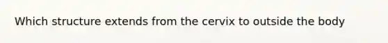 Which structure extends from the cervix to outside the body