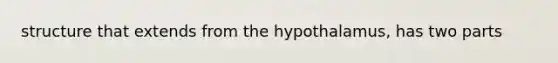 structure that extends from the hypothalamus, has two parts