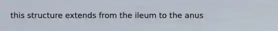 this structure extends from the ileum to the anus