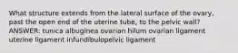 What structure extends from the lateral surface of the ovary, past the open end of the uterine tube, to the pelvic wall? ANSWER: tunica albuginea ovarian hilum ovarian ligament uterine ligament infundibulopelvic ligament