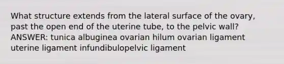 What structure extends from the lateral surface of the ovary, past the open end of the uterine tube, to the pelvic wall? ANSWER: tunica albuginea ovarian hilum ovarian ligament uterine ligament infundibulopelvic ligament