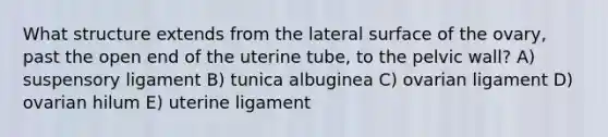 What structure extends from the lateral surface of the ovary, past the open end of the uterine tube, to the pelvic wall? A) suspensory ligament B) tunica albuginea C) ovarian ligament D) ovarian hilum E) uterine ligament