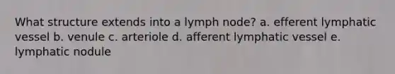 What structure extends into a lymph node? a. efferent lymphatic vessel b. venule c. arteriole d. afferent lymphatic vessel e. lymphatic nodule