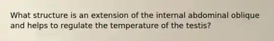 What structure is an extension of the internal abdominal oblique and helps to regulate the temperature of the testis?