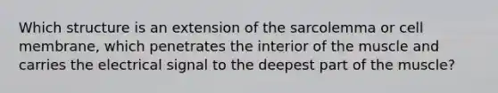 Which structure is an extension of the sarcolemma or cell membrane, which penetrates the interior of the muscle and carries the electrical signal to the deepest part of the muscle?