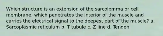 Which structure is an extension of the sarcolemma or cell membrane, which penetrates the interior of the muscle and carries the electrical signal to the deepest part of the muscle? a. Sarcoplasmic reticulum b. T tubule c. Z line d. Tendon