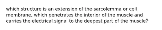 which structure is an extension of the sarcolemma or cell membrane, which penetrates the interior of the muscle and carries the electrical signal to the deepest part of the muscle?