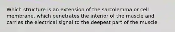 Which structure is an extension of the sarcolemma or cell membrane, which penetrates the interior of the muscle and carries the electrical signal to the deepest part of the muscle