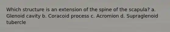 Which structure is an extension of the spine of the scapula? a. Glenoid cavity b. Coracoid process c. Acromion d. Supraglenoid tubercle