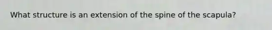 What structure is an extension of the spine of the scapula?