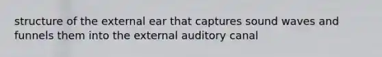 structure of the external ear that captures sound waves and funnels them into the external auditory canal