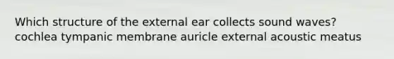 Which structure of the external ear collects sound waves? cochlea tympanic membrane auricle external acoustic meatus