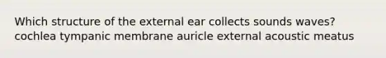 Which structure of the external ear collects sounds waves? cochlea tympanic membrane auricle external acoustic meatus