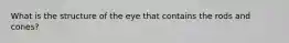 What is the structure of the eye that contains the rods and cones?