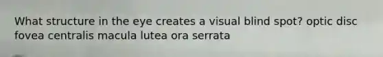 What structure in the eye creates a visual blind spot? optic disc fovea centralis macula lutea ora serrata