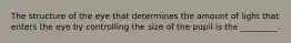 The structure of the eye that determines the amount of light that enters the eye by controlling the size of the pupil is the _________.