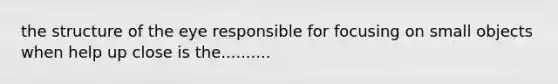 the structure of the eye responsible for focusing on small objects when help up close is the..........