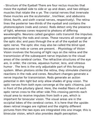 - Structure of the Eyeball There are four rectus muscles that move the eyeball side to side or up and down, and two oblique muscles that rotate the e ye. The cranial nerves that innervate these muscles are the oculomotor , trochlear, and abducens (third, fourth, and sixth cranial nerves, respectively). The retina lines the posterior two-thirds of the eyeball and contains the photoreceptors (rods and cones). Rods detect only the presence of light, whereas cones respond to photons of differing wavelengths. Neurons called ganglion cells transmit the impulses generated by the rods and cones. These neurons all converge at the optic disc and pass through the w all of the eyeball as the optic nerve. The optic disc may also be called the blind spot because no rods or cones are present. - Physiology of Vision Vision involves the focusing of light rays on the retina and the transmission of the subsequent nerve impulses to the visual areas of the cerebral cortex. The refractive structures of the eye are, in order, the cornea, aqueous humor, lens, and vitreous humor . The lens is the only adjustable part of this focusing system. When photons strike the retina, they stimulate chemical reactions in the rods and cones. Resultant changes generate a nerve impulse for transmission. Rods generate an action potential in dim light but only allow shades of gray vision. The optic nerves from both eyes converge at the optic chiasma, just in front of the pituitary gland. Here, the medial fibers of each optic nerve cross to the other side.This crossing permits each visual area to receive impulses from both e yes, which is important for binocular vision. The visual areas are in the occipital lobes of the cerebral cortex. It is here that the upside-down retinal images are righted and the slightly different pictures from the two eyes are integrated into one image; this is binocular vision, which also provides depth perception.