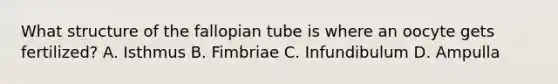 What structure of the fallopian tube is where an oocyte gets fertilized? A. Isthmus B. Fimbriae C. Infundibulum D. Ampulla