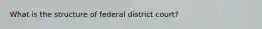 What is the structure of federal district court?