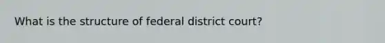 What is the structure of federal district court?