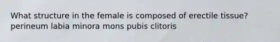 What structure in the female is composed of erectile tissue? perineum labia minora mons pubis clitoris