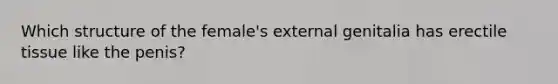 Which structure of the female's external genitalia has erectile tissue like the penis?