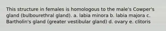 This structure in females is homologous to the male's Cowper's gland (bulbourethral gland). a. labia minora b. labia majora c. Bartholin's gland (greater vestibular gland) d. ovary e. clitoris