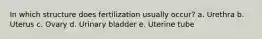 In which structure does fertilization usually occur? a. Urethra b. Uterus c. Ovary d. Urinary bladder e. Uterine tube