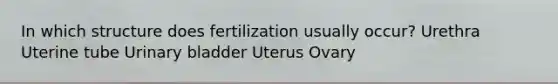 In which structure does fertilization usually occur? Urethra Uterine tube Urinary bladder Uterus Ovary