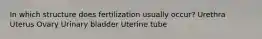 In which structure does fertilization usually occur? Urethra Uterus Ovary Urinary bladder Uterine tube