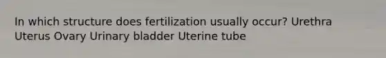 In which structure does fertilization usually occur? Urethra Uterus Ovary Urinary bladder Uterine tube