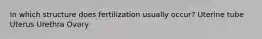 In which structure does fertilization usually occur? Uterine tube Uterus Urethra Ovary