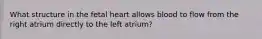 What structure in the fetal heart allows blood to flow from the right atrium directly to the left atrium?