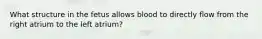 What structure in the fetus allows blood to directly flow from the right atrium to the left atrium?